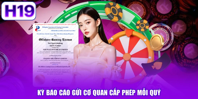 Kỳ báo cáo gửi cơ quan cấp phép mỗi quý