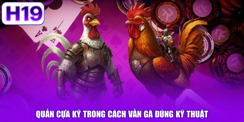 Quấn cựa kỹ trong cách vần gà đúng kỹ thuật